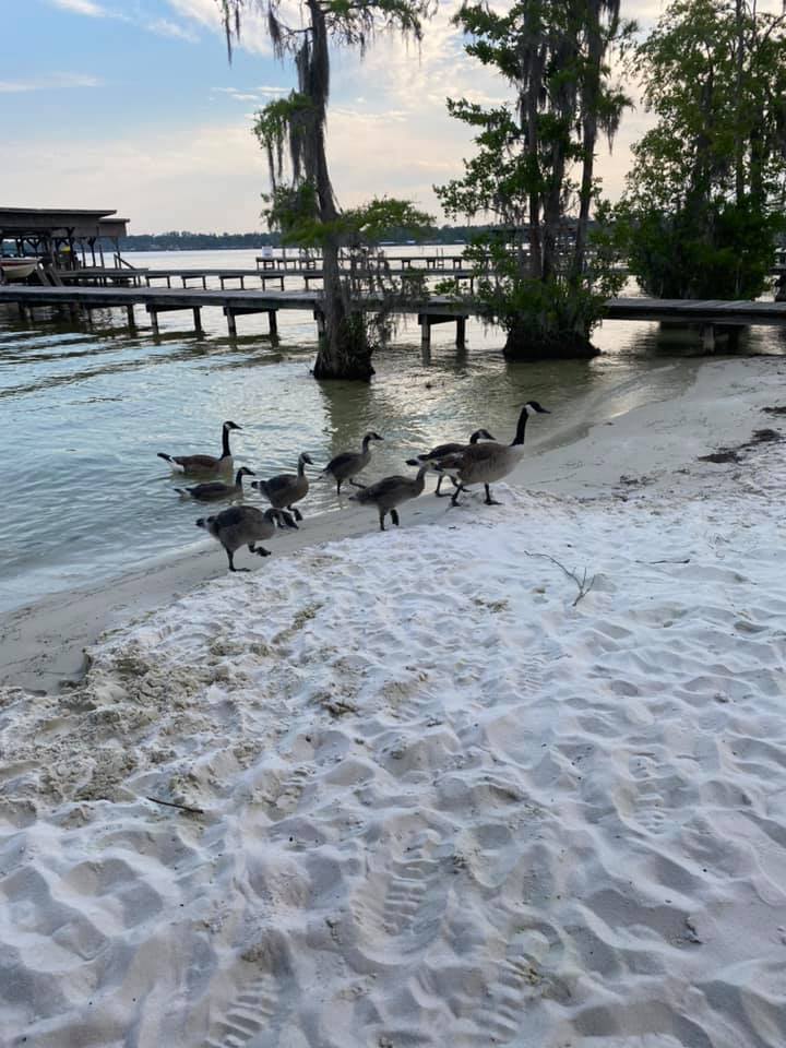 Melwood Court - White Lake NC Image 23